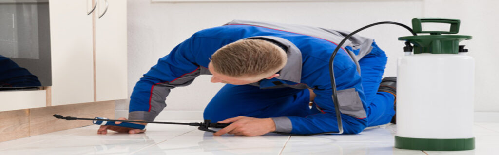 pest control services in dubai