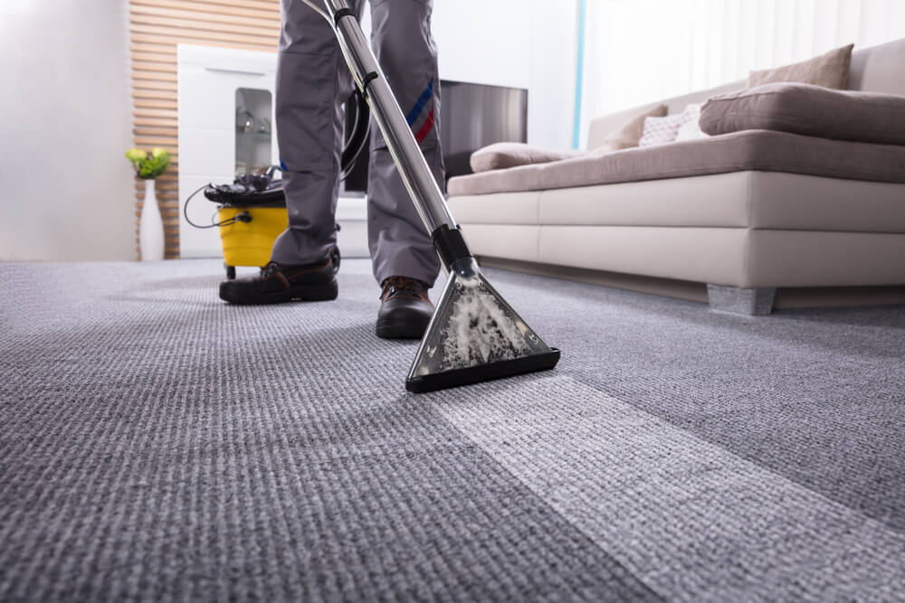 pest control services