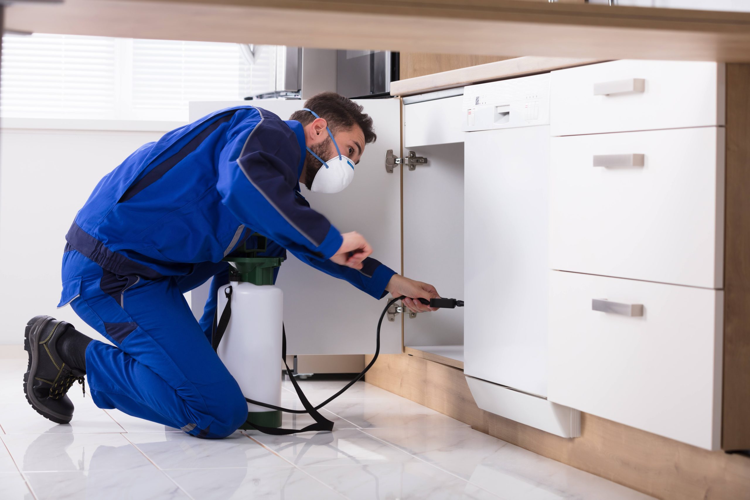 Rodent Control Services - Good Life Pest Control
